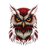 Energético Corujão